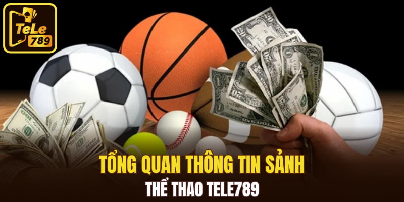 Tổng quan thông tin sảnh thể thao Tele789