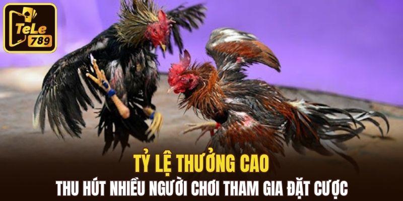 Tỷ lệ thưởng cao, thu hút nhiều người chơi tham gia đặt cược