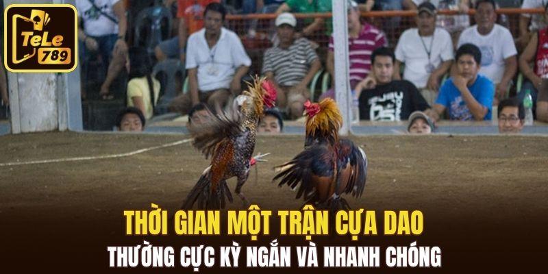 Thời gian một trận cựa dao thường cực kỳ ngắn và nhanh chóng