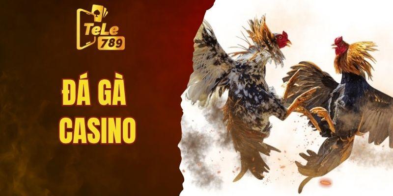 Trải nghiệm đá gà casino đỉnh cao