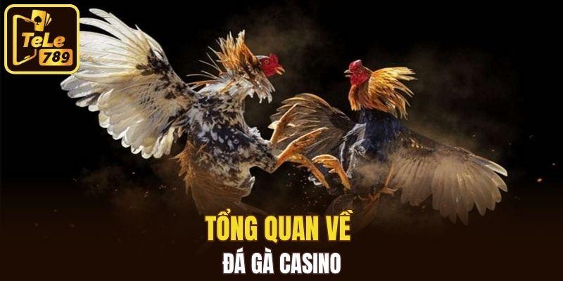 Tổng quan về đá gà casino