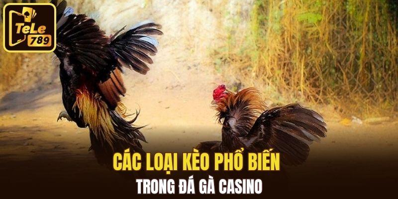 Các loại kèo phổ biến trong đá gà casino