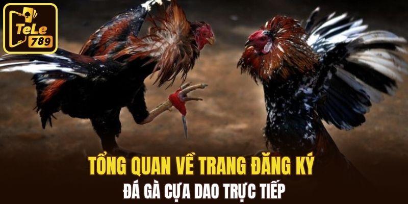 Tổng quan về trang đăng ký đá gà cựa dao trực tiếp