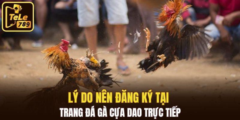 Lý do nên đăng ký tại trang đá gà cựa dao trực tiếp