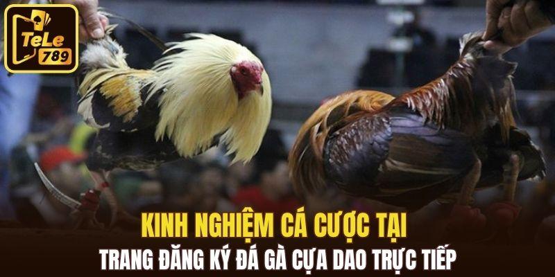 Kinh nghiệm cá cược tại trang đăng ký đá gà cựa dao trực tiếp