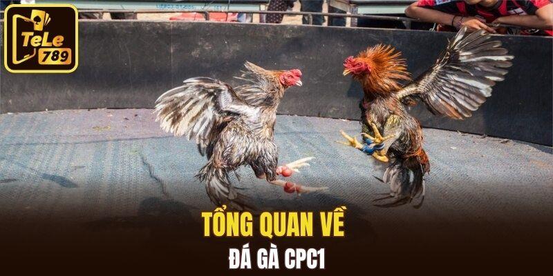 Tổng quan về đá gà CPC1