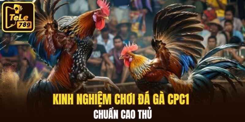 Kinh nghiệm chơi đá gà CPC1 chuẩn cao thủ