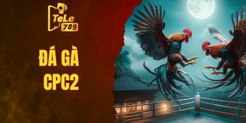 ĐÁ GÀ CPC2 – ĐIỂM ĐẾN GIẢI TRÍ CÁ CƯỢC TRỰC TUYẾN UY TÍN