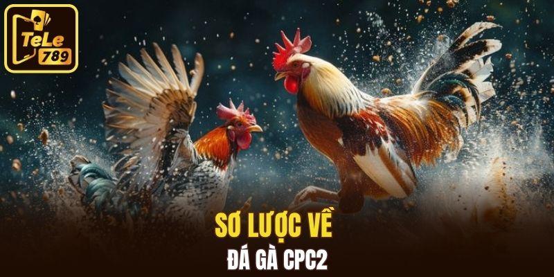 Sơ lược về đá gà CPC2