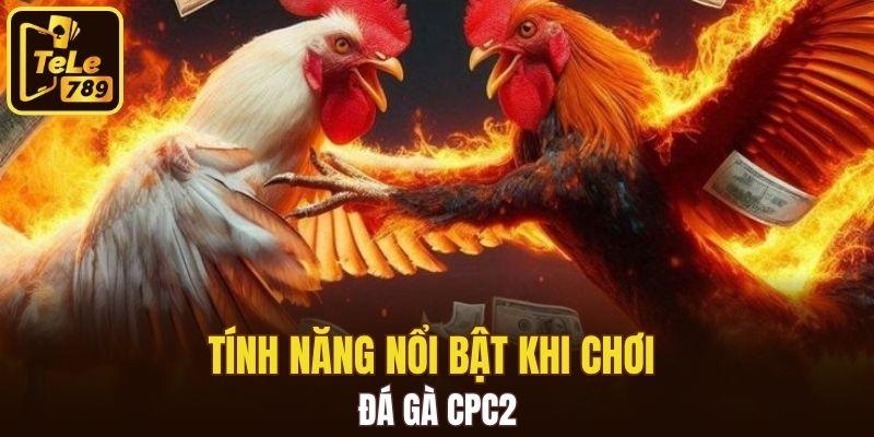 Tính năng nổi bật khi chơi đá gà CPC2