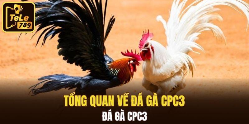 Tổng quan về đá gà CPC3