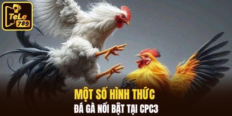 Một số hình thức đá gà nổi bật tại CPC3