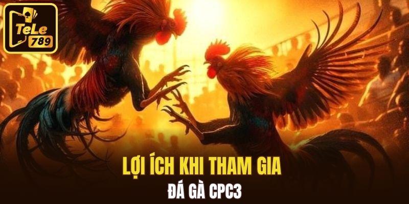 Lợi ích khi tham gia đá gà CPC3